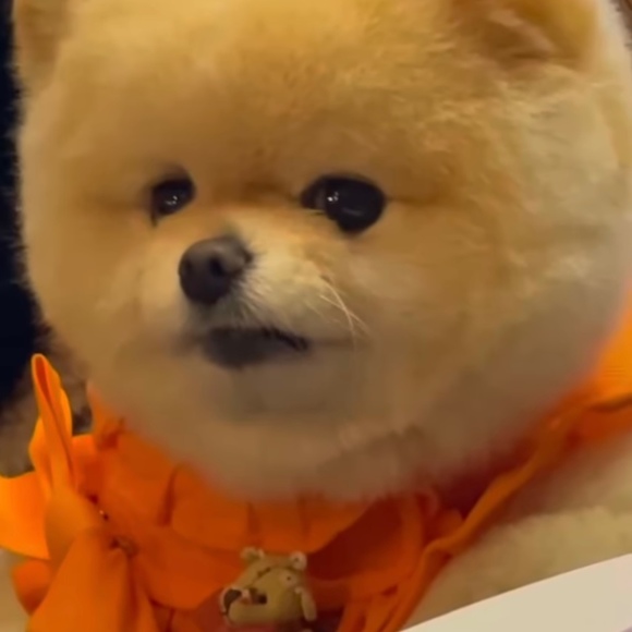 torebaplushies
